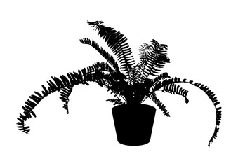 black fern in pot for indoor office and house plant, silhouette vector illustration