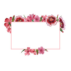 Wildflower carnation flower frame in a watercolor style isolated.