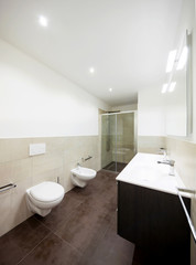 Modern brown bathroom