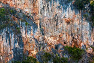 Stone background. Cliff fragment