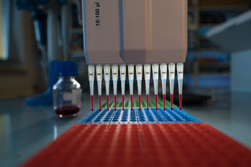 pcr process in microbiology laboratory