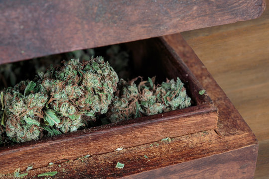 Marijuana stash. Ganja buds into half-open wooden box