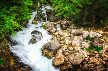 Jungle landscape with flowing turquoise water of georgian cascade waterfall at deep green forest. Mountain of georgia