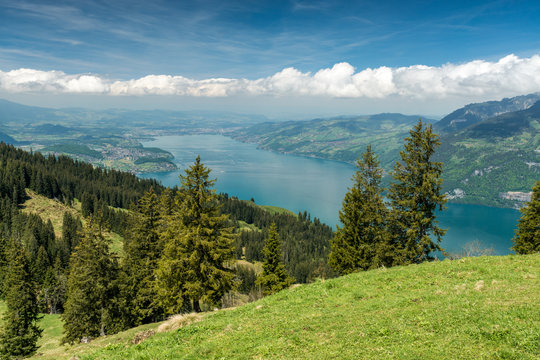 Blick auf Thunersee, Spiez und Thun