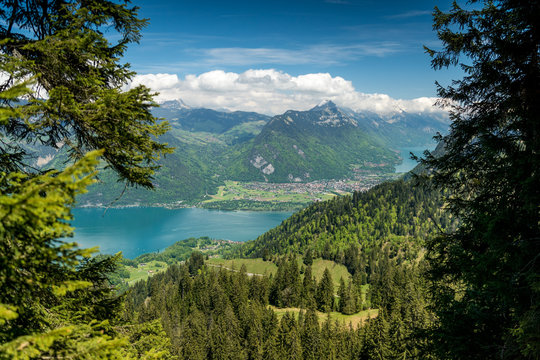 Blick auf Thunersee, Interlaken und B&ouml;deli