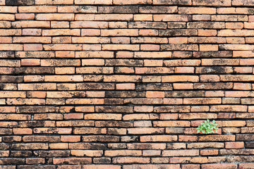 Old brick wall,different sized and red, orange and yellow make irregular brickwork pattern.Vintage texture background.Old construction and building background. Retro backdrop with free space for text.