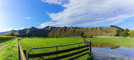 Panoramic image of countryside in Whanganui , North Island of New Zealand