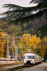 Fototapeta na wymiar Borjomi, Samtskhe-Javakheti, Georgia. Suburban Electric Train Ne