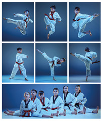 The studio shot of group of kids training karate martial arts © master1305