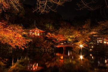 京都の醍醐寺と秋のライトアップ