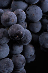 Close up, berries of dark bunch of grape in low light isolated on black background
