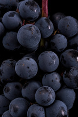 Close up, berries of dark bunch of grape in low light isolated on black background