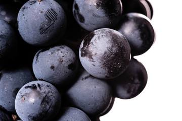 Close up, berries of dark bunch of grape with water drops in low light isolated on white background