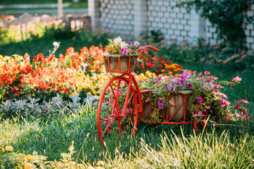 Fototapeta na wymiar Decorative Retro Vintage Model Bicycle Equipped Basket Flowers Garden