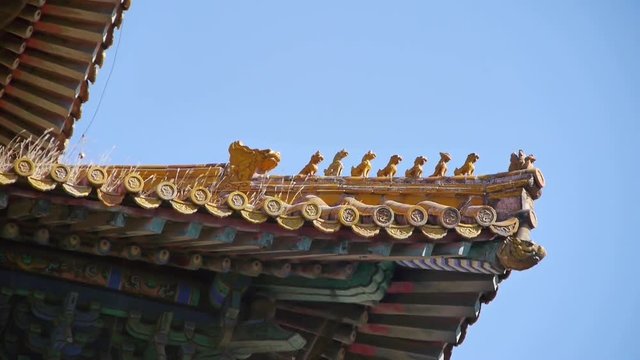 weeds grass & sculpture on roof eaves.China ancient architecture Beijing Forbidden City.Carved beams & painted buildings. 