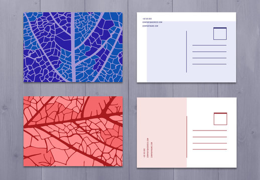 Four Colorful Illustrated Post Card Layouts
