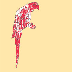 Parrot on a tree branch