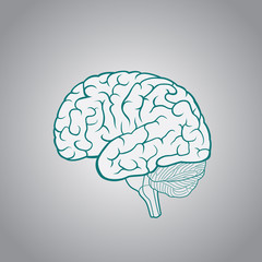 Schematic illustration of human brain on a light background