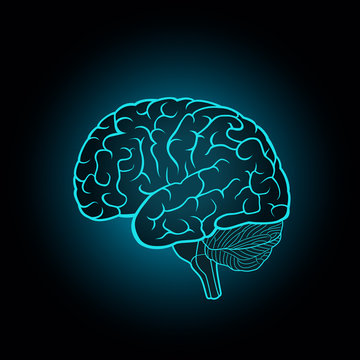 Schematic illustration of human brain on a dark blue background