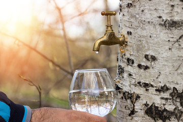Birch sap