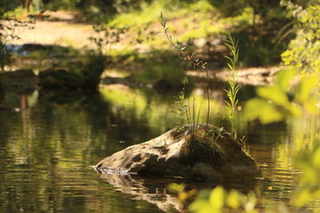 Ile Ruisseau