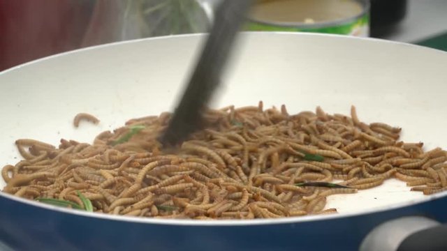 Cooking and frying of flour worms in the pan during gastronomic demonstration