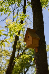 Handmade wooden birdhouse on the tree in park