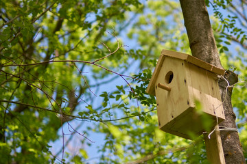 wooden birdhouse hanging from tree with foliage blurred in background