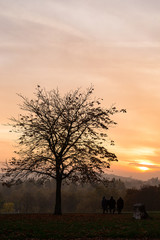 People sitting on a bench watching a sunset in autumn in southeast London