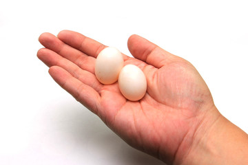 Pigeon egg in hand on white background © aphichetc