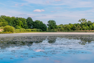Au bord de l'&eacute;tang dans les Dombes