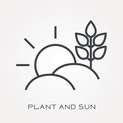Line icon plant and sun