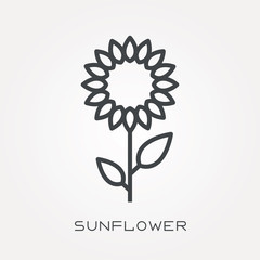 Line icon sunflower