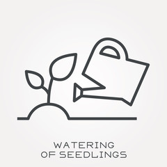 Line icon watering of seedlings
