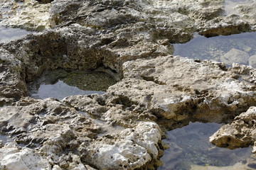 Rocky shore