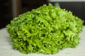 Bunch of raw organic green frisee salad close up.