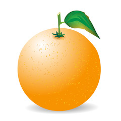 orange on white background