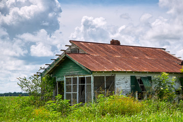 Fototapeta na wymiar Rusty Tin Roof Shack In Weeds