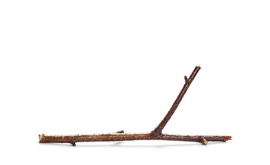 dry rotten birch branch isolated on white background