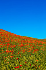typical springtime basilicata landscape