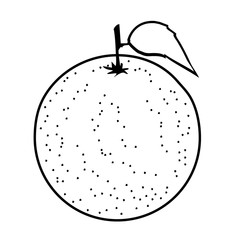 Sketch of an orange for coloring