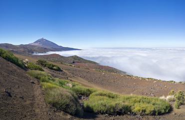 Nationalpark Teneriffa mit Teide und Wolkenmeer über dem Orotava Tal 