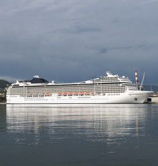 white cruise ship
