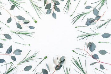 Flowers composition. Frame made of carnation flowers and eucalyptus branches on white background. Flat lay, top view