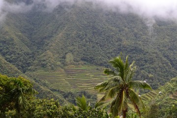 Fototapeta na wymiar Banaue Rice Terraces