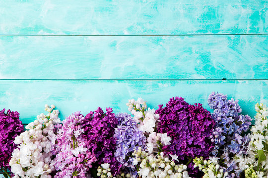 Fototapeta Bunch of lilac flowers on a turquoise wooden background. Top view. Copy space.