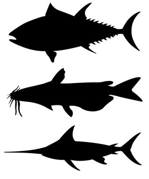 Set of different big fish silhouettes isolated on white