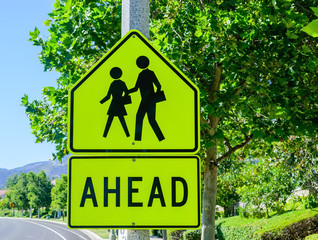 Students cross the road near with trees in background