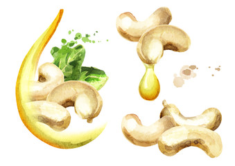 Cashew oil set