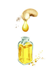 Natural cashew oil.Hand drawn watercolor